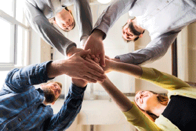 organizazcion